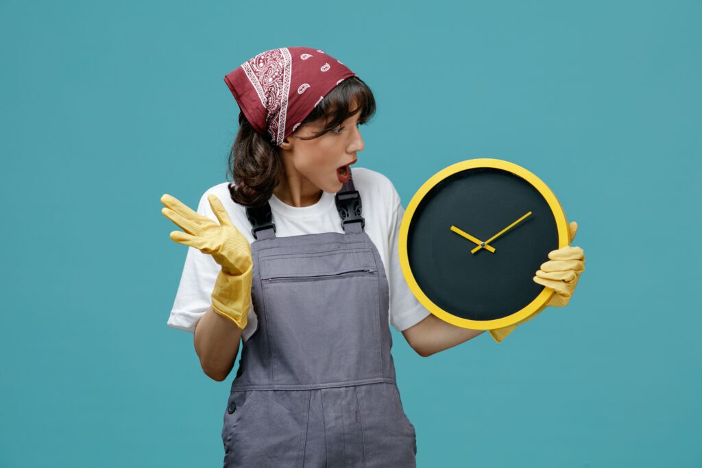 How a Professional Maid Can Save You Hours Each Week